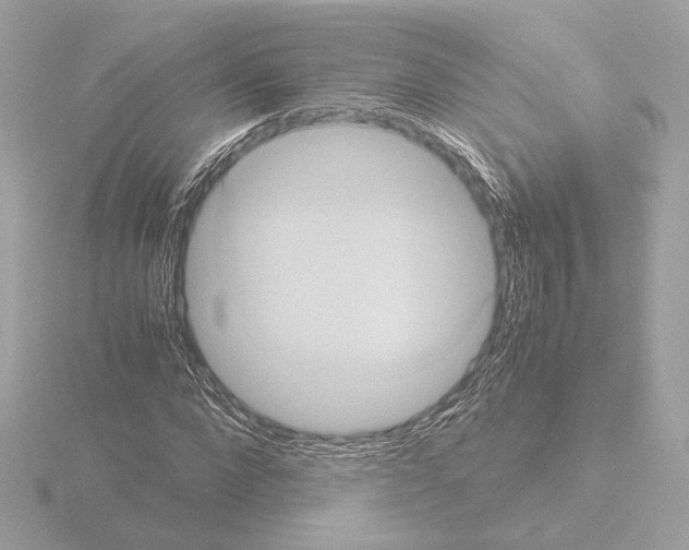 X0000115580872200912221047