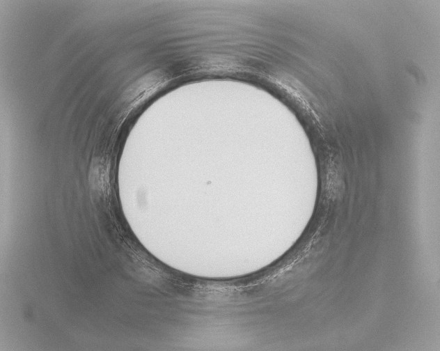 X0000115580873200912221047