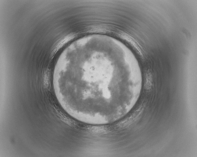 X0000115580874200912221047