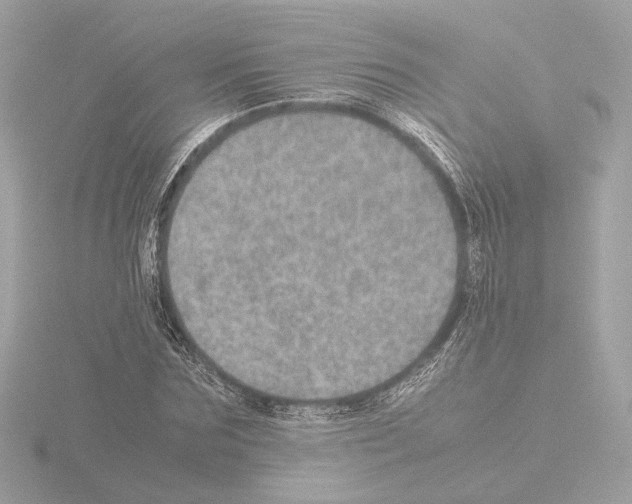 X0000115580875200912221047