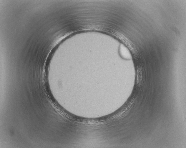 X0000115580876200912221047