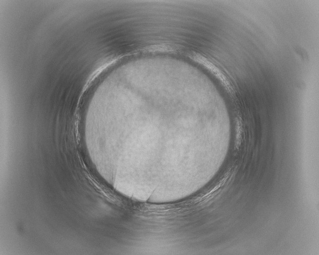 X0000115580878200912221047