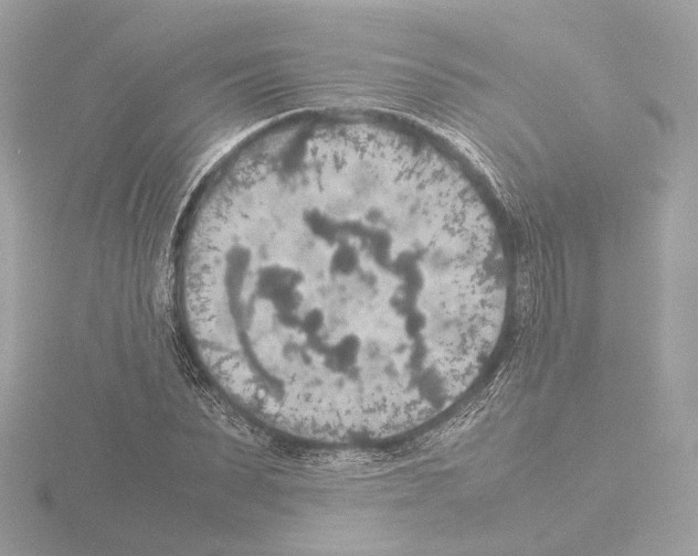 X0000115580879200912221047