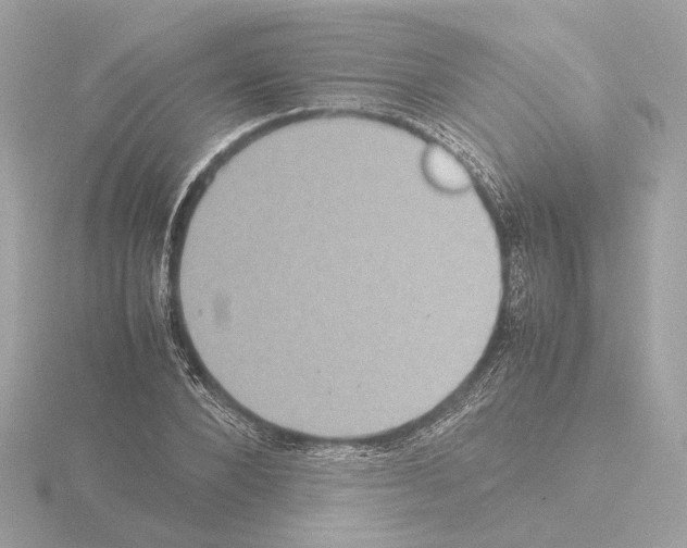 X0000115580880200912221047