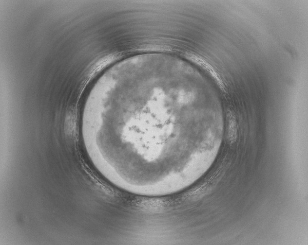 X0000115580882200912221047