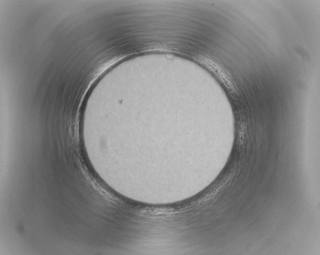 X0000115580884200912221047