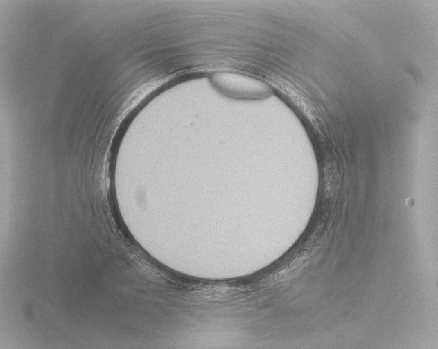 X0000115580885200912221047