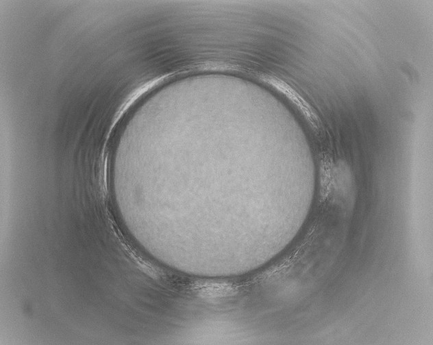 X0000115580886200912221047