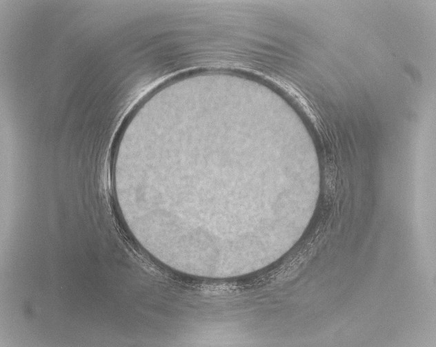 X0000115580887200912221047