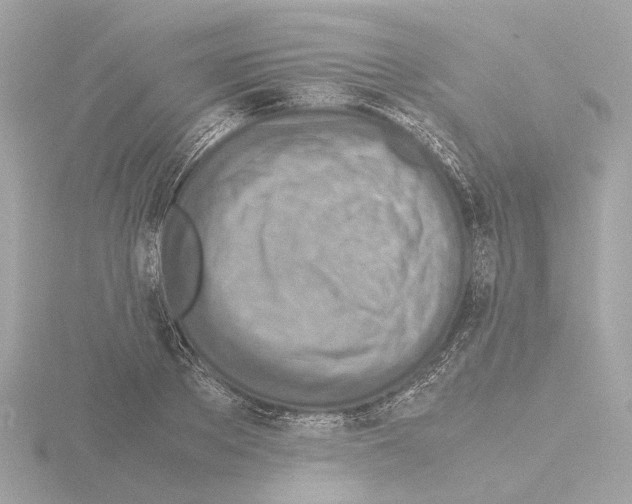 X0000115580889200912221047