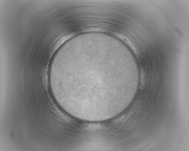 X0000115580890200912221047