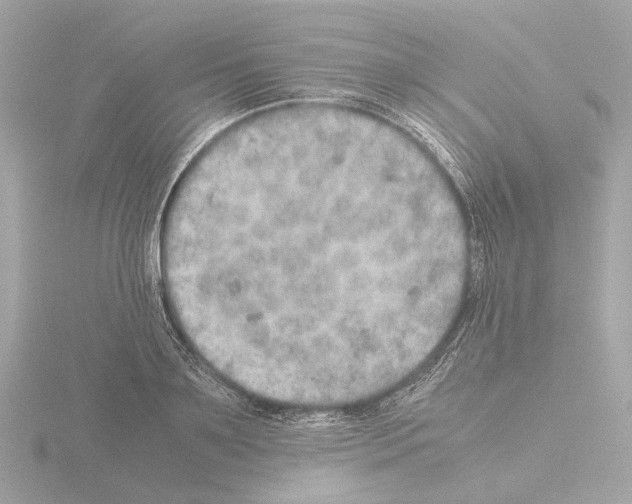 X0000115580891200912221047