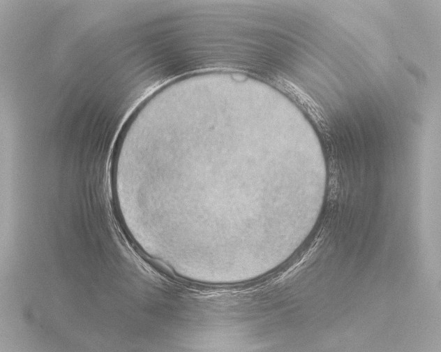 X0000115580892200912221046