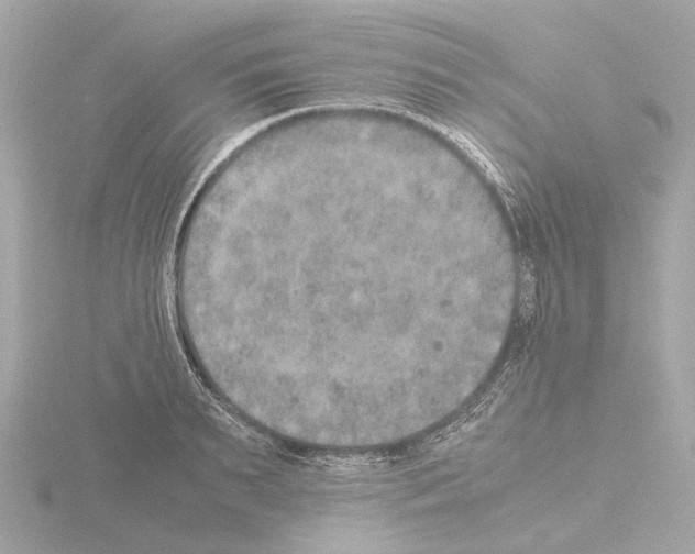 X0000115580895200912221046