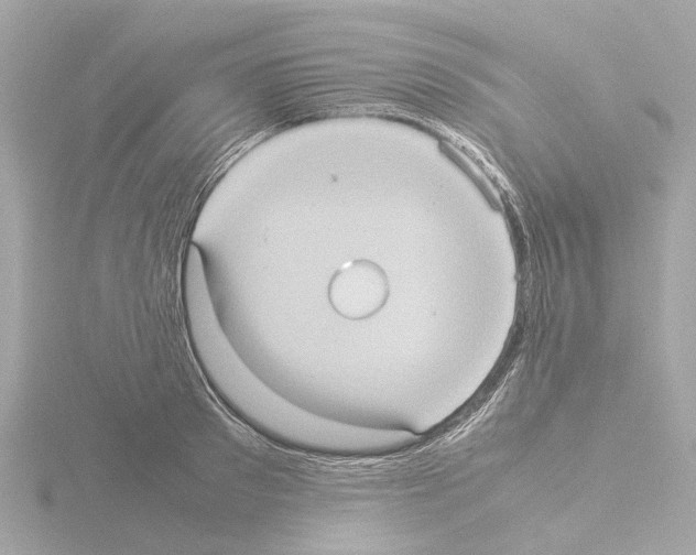 X0000115580897200912221046