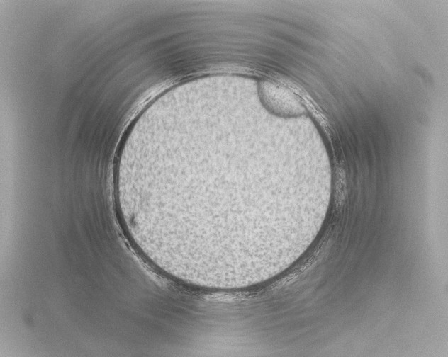 X0000115580898200912221046