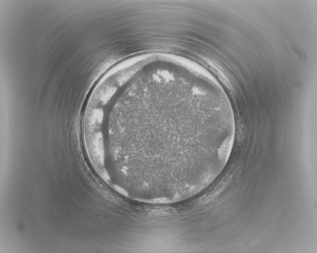 X0000115580899200912221046