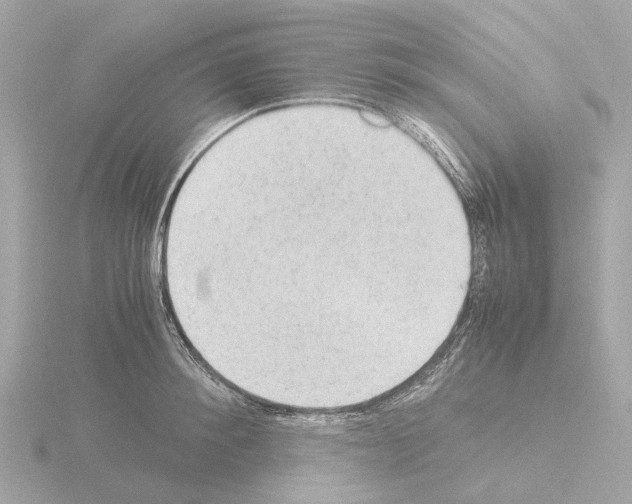 X0000115580900200912221046