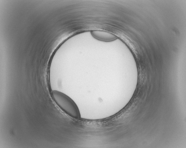 X0000115580901200912221046