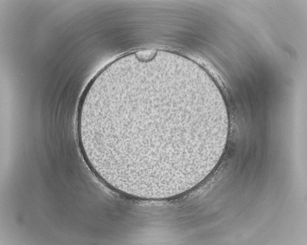 X0000115580902200912221046