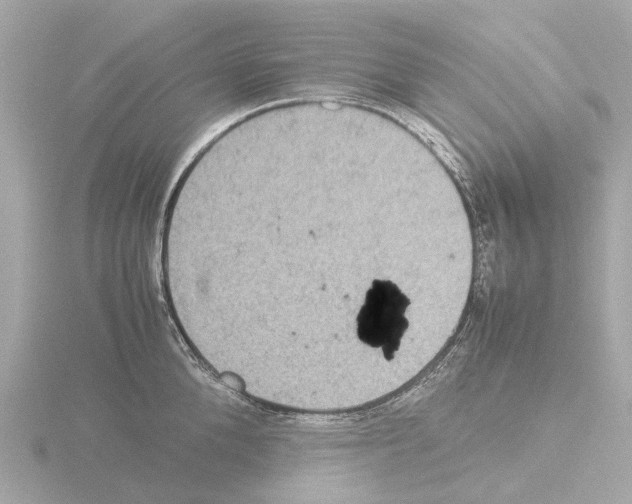 X0000115580904200912221046