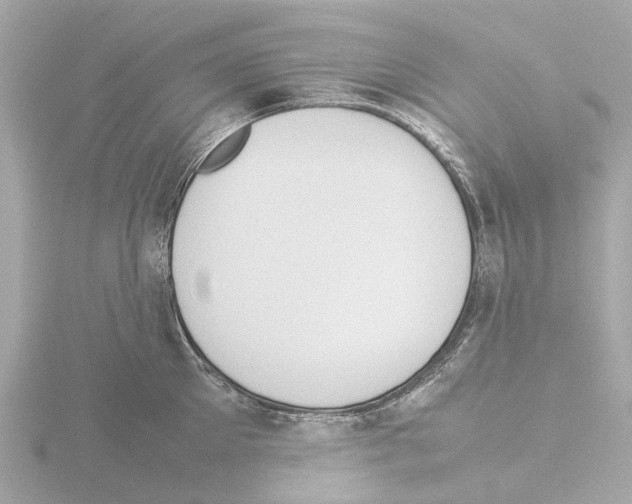 X0000115580905200912221046