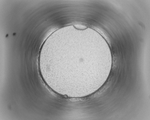 X0000115580906200912221046