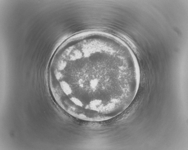 X0000115580907200912221046