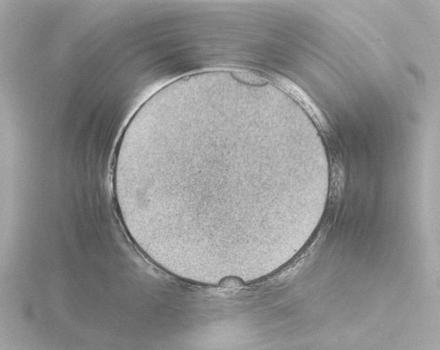 X0000115580908200912221046