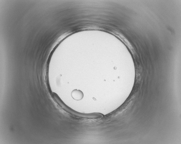 X0000115580909200912221046