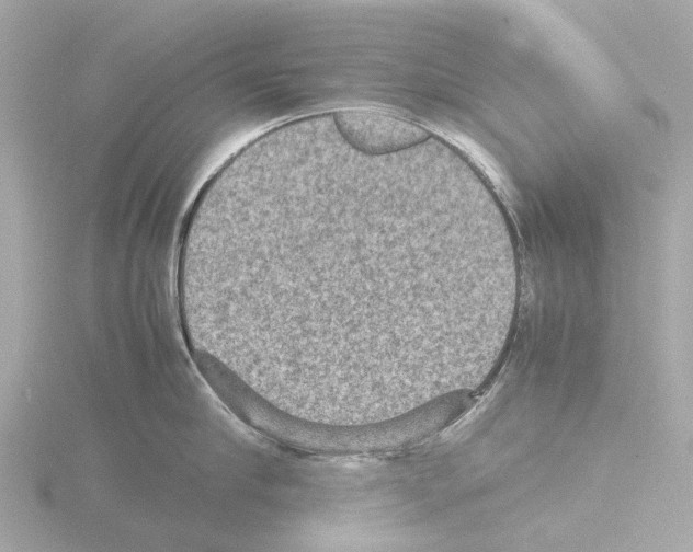 X0000115580910200912221046