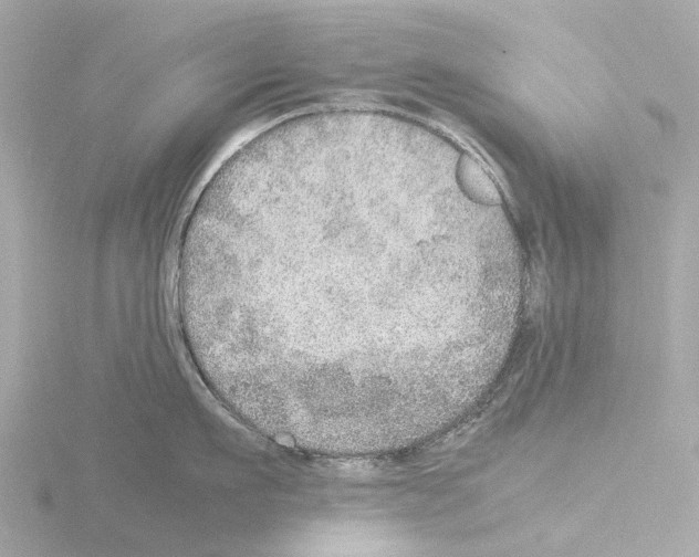 X0000115580911200912221046