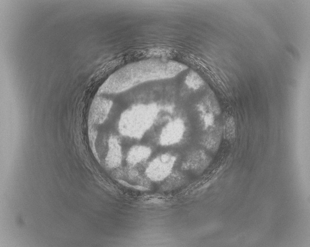 X0000115580913200912221046