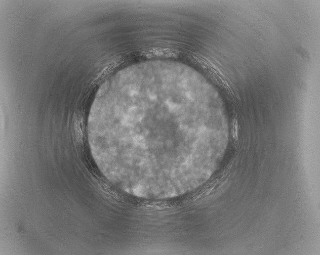 X0000115580915200912221046