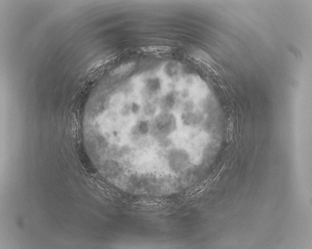 X0000115580917200912221046