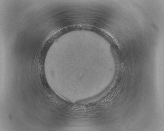 X0000115580919200912221046