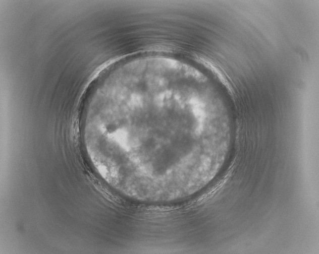 X0000115580923200912221046