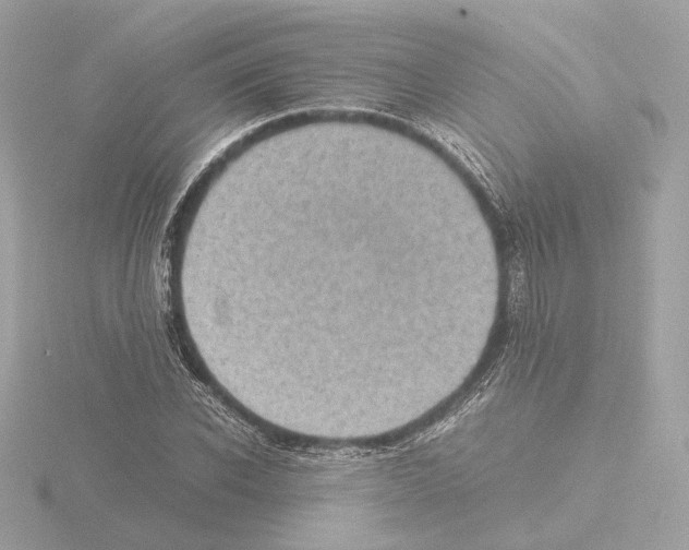 X0000115580926200912221046