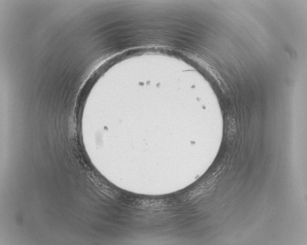 X0000115580927200912221046