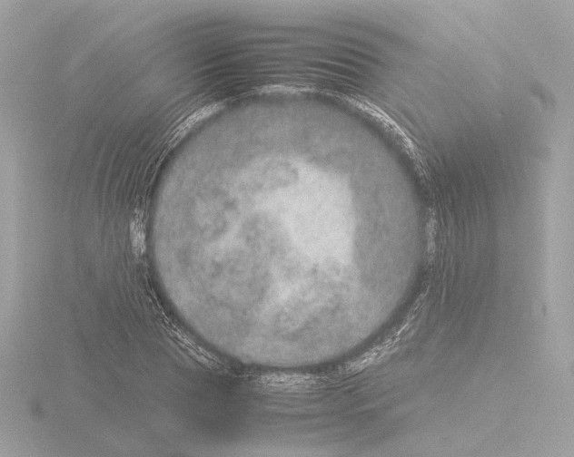 X0000115580929200912221046