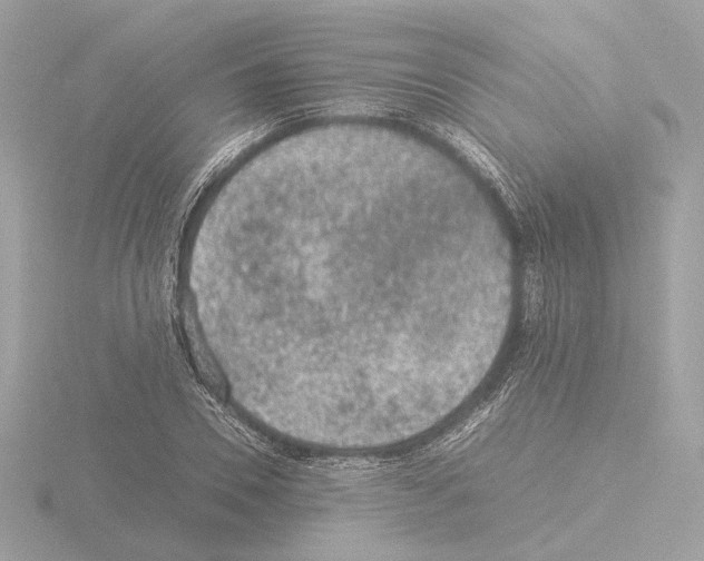 X0000115580930200912221046