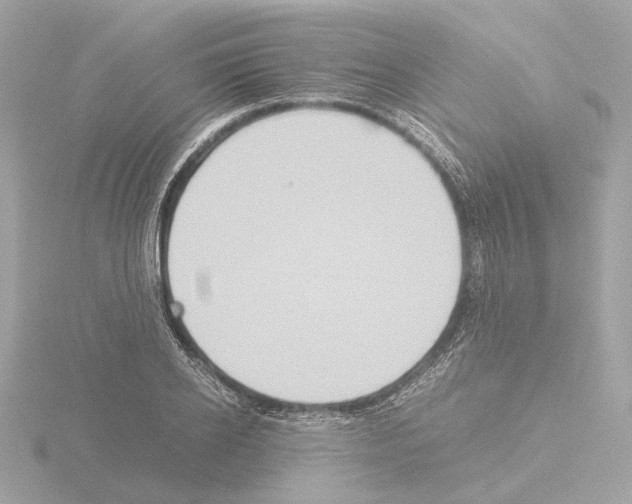 X0000115580934200912221046