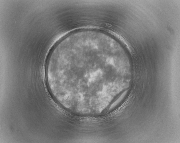 X0000115580935200912221046