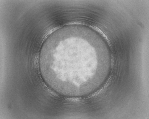 X0000115580937200912221046