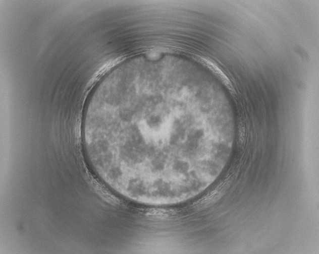 X0000115580938200912221046