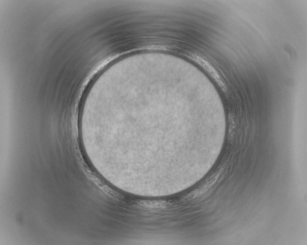 X0000115580939200912221046