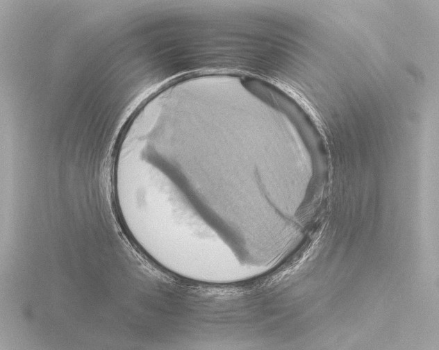 X0000115580941200912221046