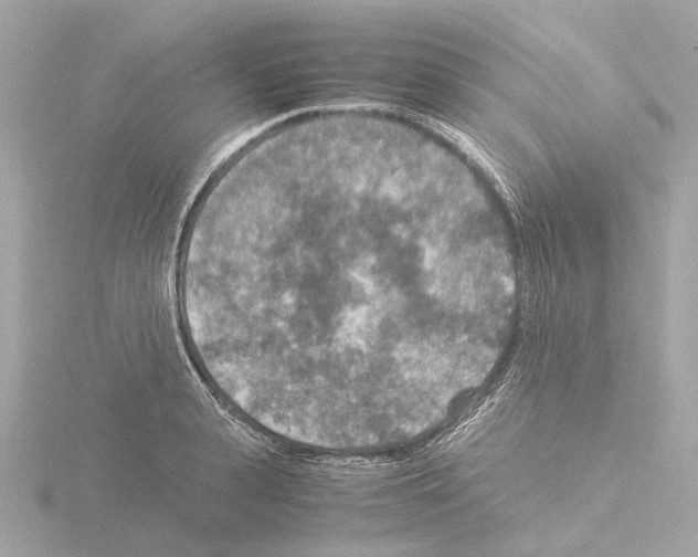 X0000115580943200912221046