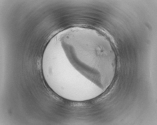 X0000115580945200912221046