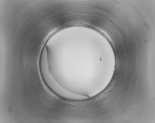 X0000115580946200912221046